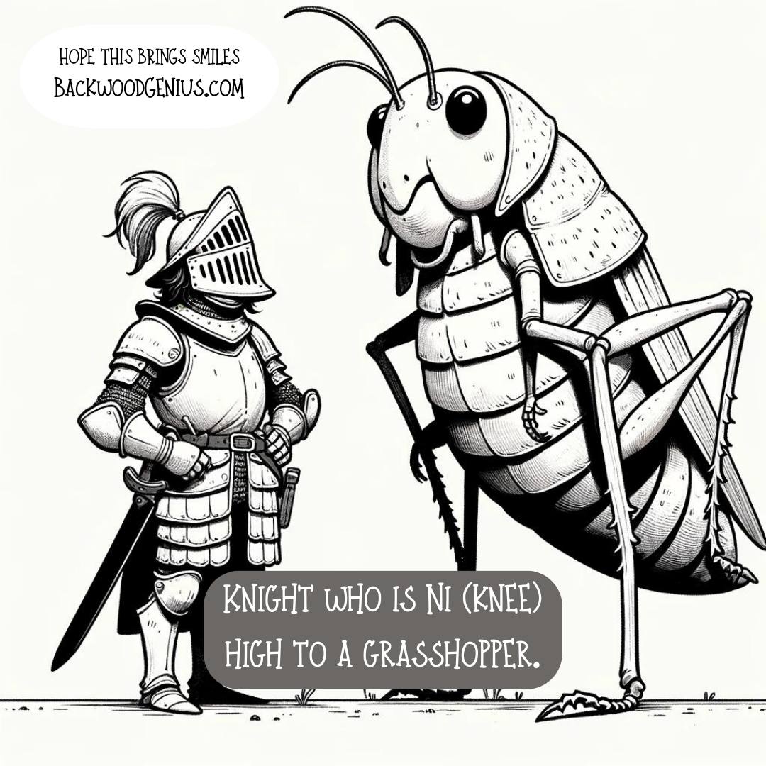 A Very Small Knight, Facing Big Problems