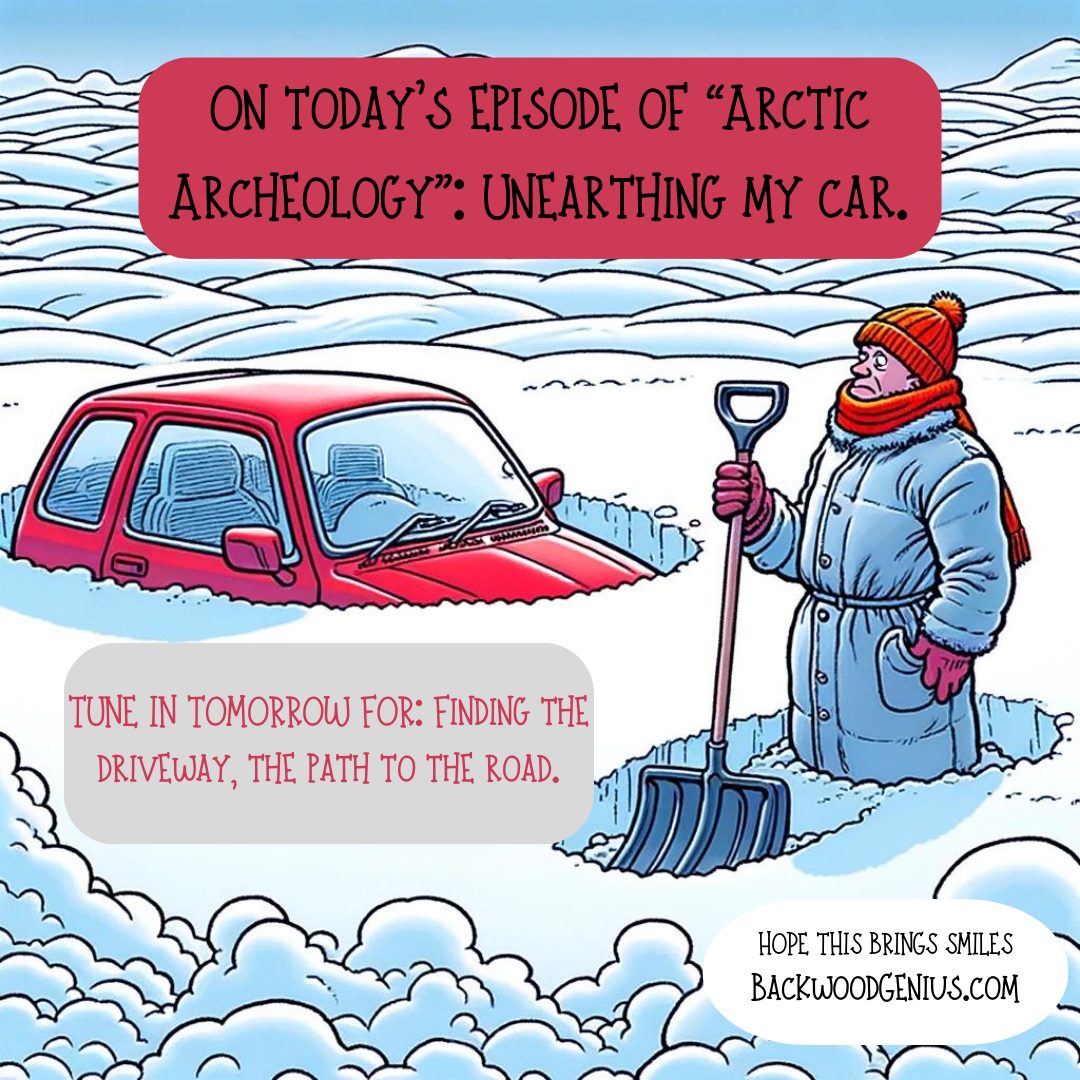 Arctic Archeology, Episode One